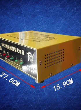全自动智0汽 电瓶充电器修复蓄电池充电机12v车24V自动识别10能AH