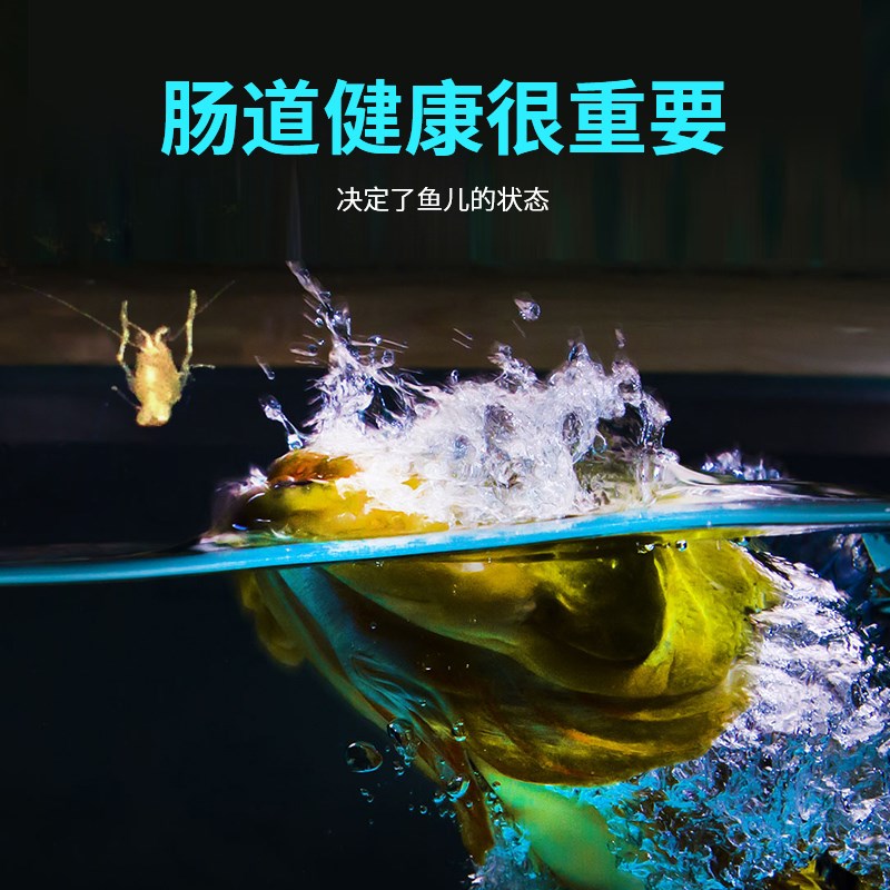 玛豆酸奶水族七鱼神仙鱼彩用龙专益生菌鱼用维生素非肠炎鱼药