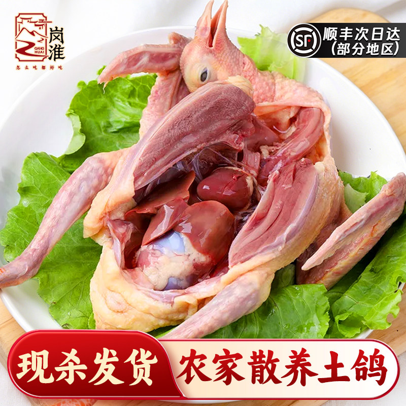 鸽子新鲜现杀土鸽子农家散养鸽子肉炖煲汤鲜活乳鸽生鲜老鸽子顺丰