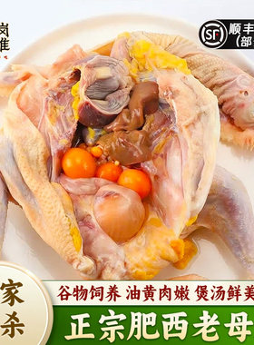 农家散养现杀新鲜整只老母鸡顺丰