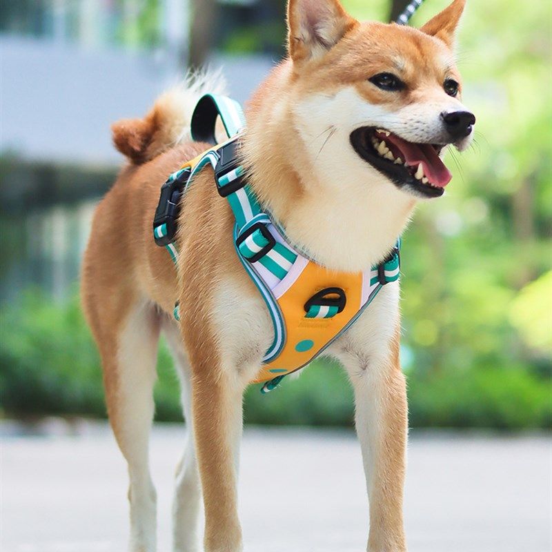 狗狗牵引绳背心式中大型犬棒球风胸背带遛金毛狗绳防挣脱柴犬胸背,宠物/宠物食品及用品,狗牵引绳,淘宝优惠券,粉丝福利购,淘宝优惠卷