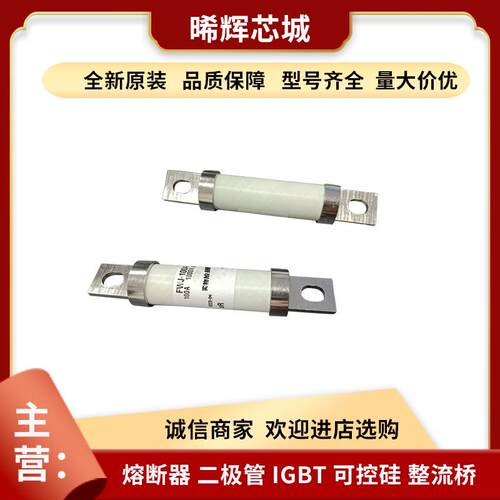 FWJ-100AFWP-800A库存充足快速熔断器直供现货型号齐全