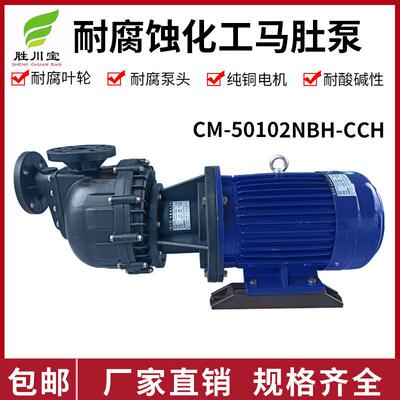 胜川宝CM-50102NBH-CCH大头泵马肚泵防腐化工泵自吸泵电镀泵7.5KW