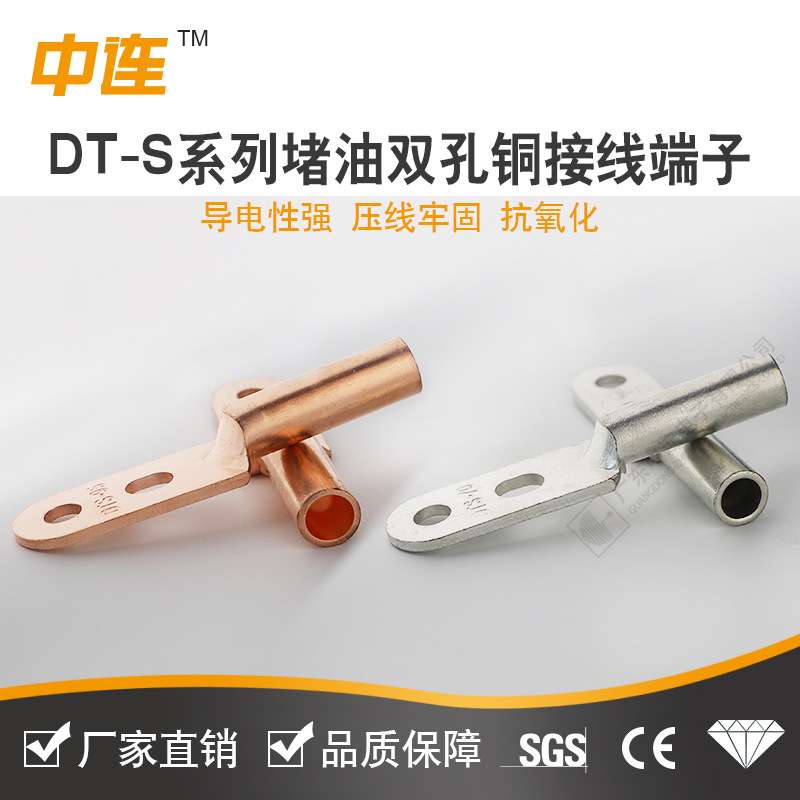 厂家直供双孔铜鼻子铜DT堵油接线端子堵油型铜端子双孔线鼻子