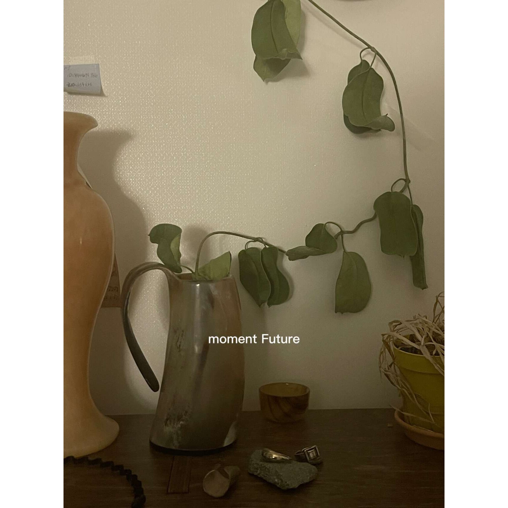 Moment Future韩系复古异性酒杯茶杯花瓶手工牛角陈列摆件装饰品