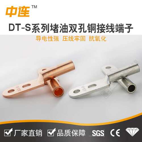 厂家直供双孔铜鼻子铜DT堵油接线端子堵油型铜端子双孔线鼻子