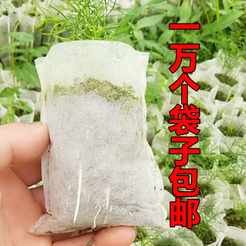 1万个无邮布育苗袋包纺营养袋美植种植袋一降性可次解育苗杯