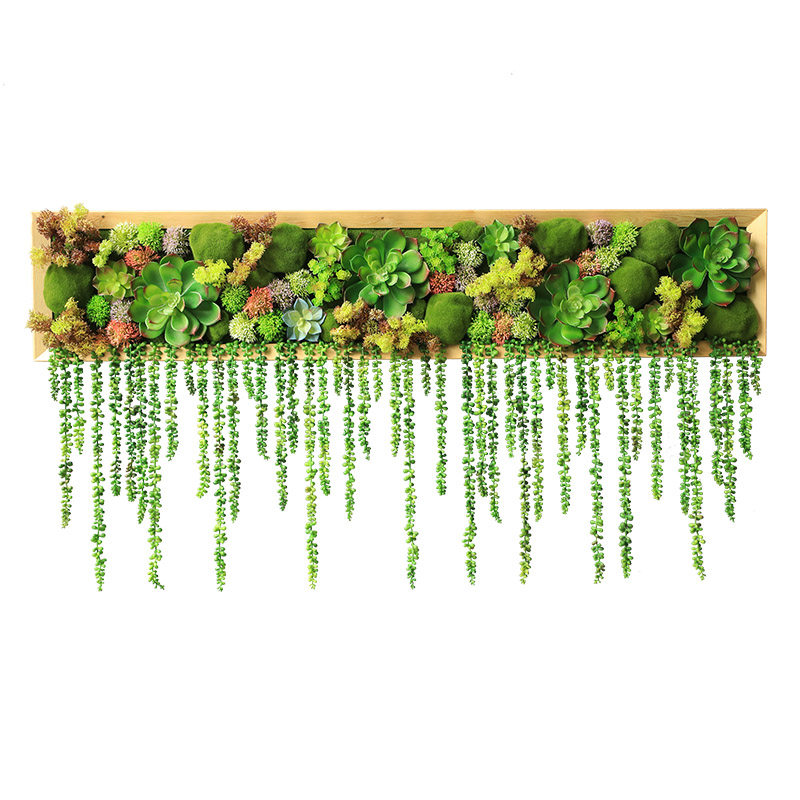 墙面装饰植多壁上仿真物肉壁挂绿植墙体阳台墙挂墙墙遮丑装饰