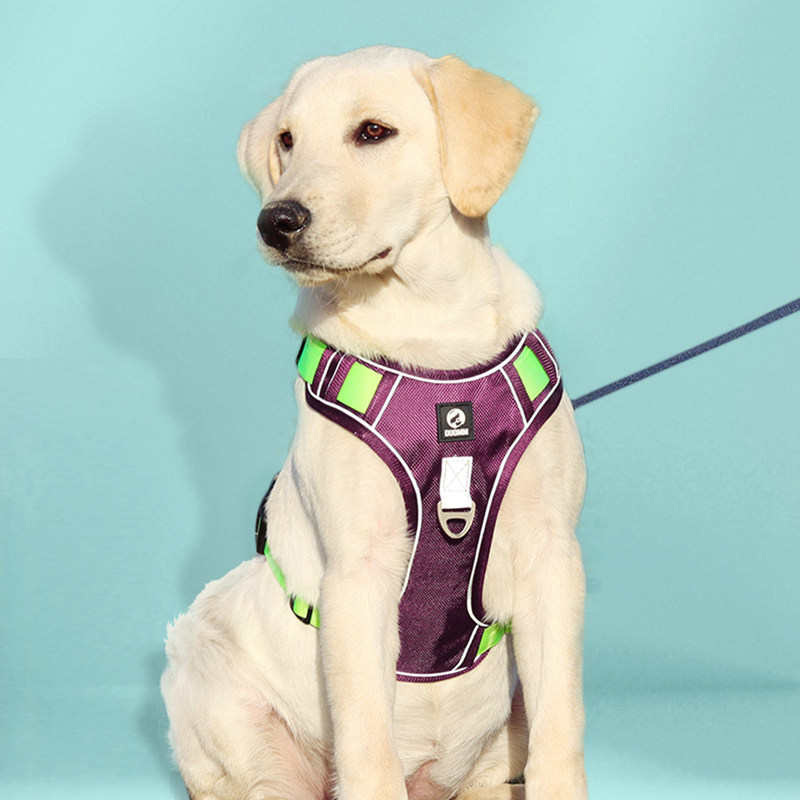 狗狗狗引绳背遛式金毛拉布拉多中大型柴犬柯基心牵链子宠物胸背带