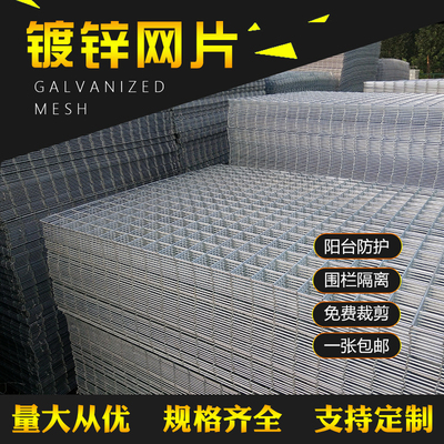 镀锌铁丝网围栏铁网格网网片防护网加粗电焊养殖网钢丝网小孔鸟笼