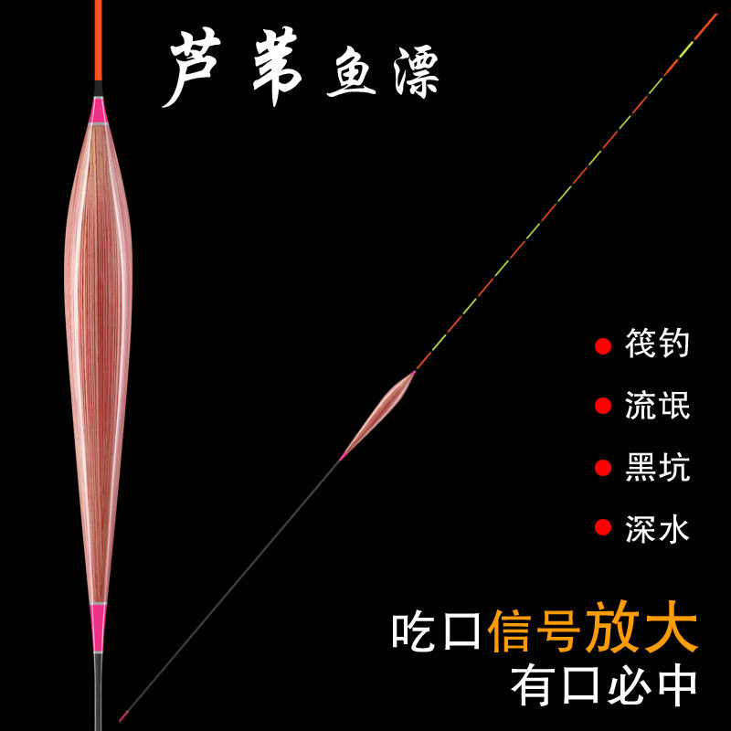 700加长芦苇流氓浮漂黑坑竞技高灵敏鲫鱼鲤鱼漂混养漂醒目漂抗风