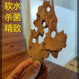 [鱼子]马来流木 微精 小格沉木麦缸造景摆件南美风型原生爬宠树根