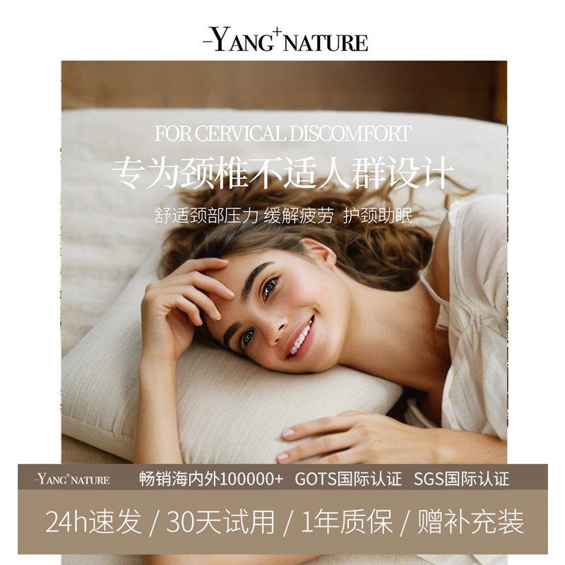 氧家高端颈椎枕头护颈椎助睡眠男女软硬高低全荞麦皮壳单定型枕头