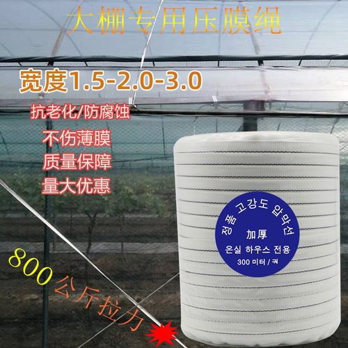 大棚压膜绳加厚压膜带抗老化压膜线涤纶丝白托膜带温室配件防风绳