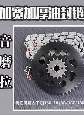 适用钱江风暴太子QJ150-3A/3B/3F/18F/18R/19A攀山虎链盘链条套链