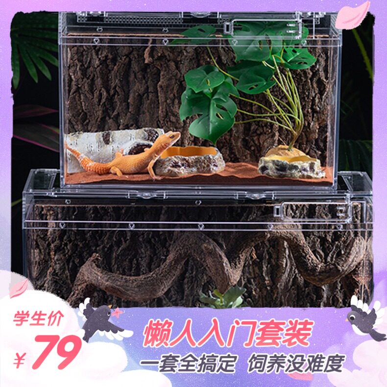爬虫防水PC饲养缸蜘蛛蜥蜴玩具蛇造景懒人套装豹纹守宫透明饲养箱