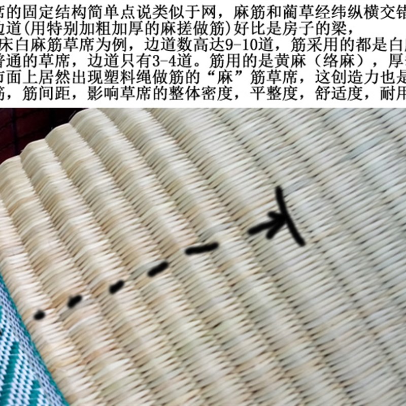 正宗宁波白麻筋草席1.8m床1.5米加厚密双人天然蔺草凉席