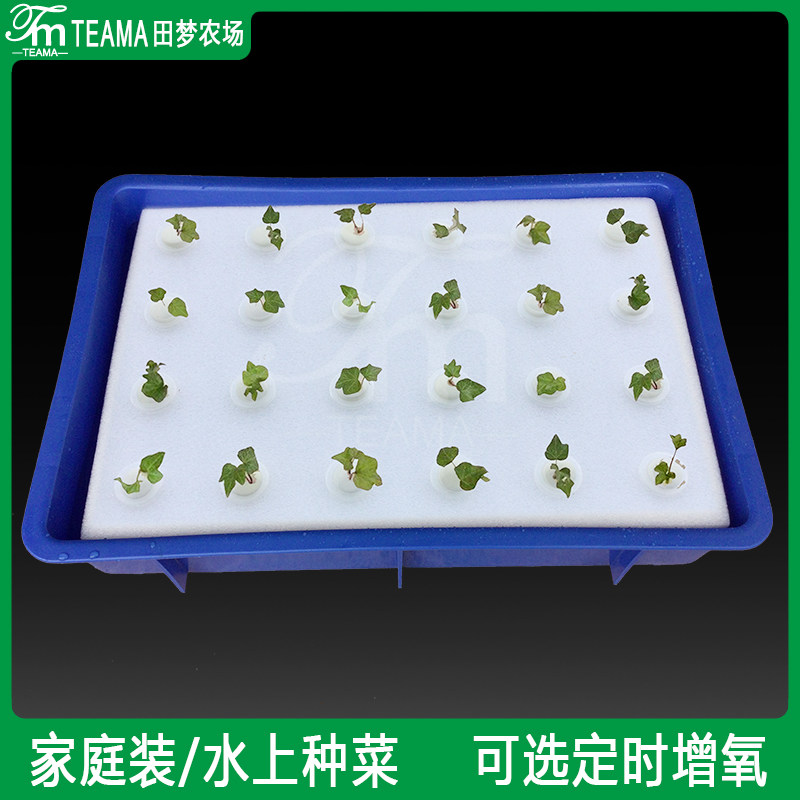 家庭装水上种菜 带水箱漂浮定植板种植 温室无土栽培水耕泡沫块
