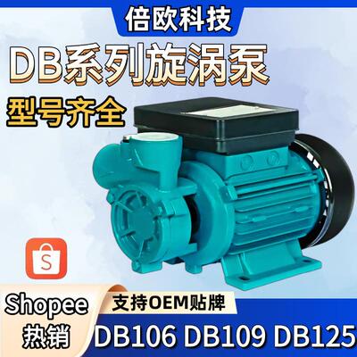 DB系列旋涡泵110V60Hz美规220V60Hz欧规外贸DB125自来水增压泵