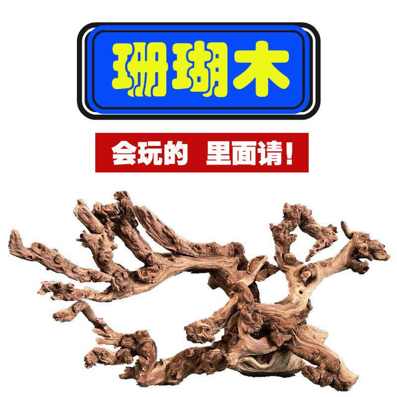 中大号沉木珊瑚流木鱼草缸生宠箱造景装饰原爬杜然非天鹃根紫柚木