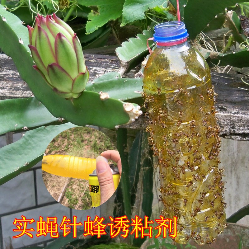 瓜果实蝇捕粘剂 诱黏喷剂 昆虫诱诱剂针蜂诱捕器果园菜地