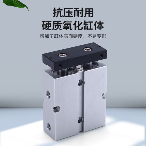 双轴双杆气缸TDA小型气动TN10/16/20-10*20X30X50X70X100X250-S