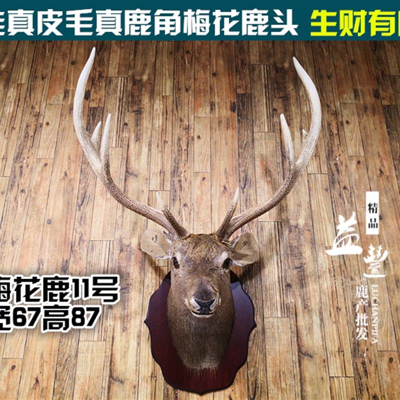 壁挂挂头梅头鹿真鹿头壁炉玄关客厅背景墙电视墙鹿花鹿花鹿小花鹿