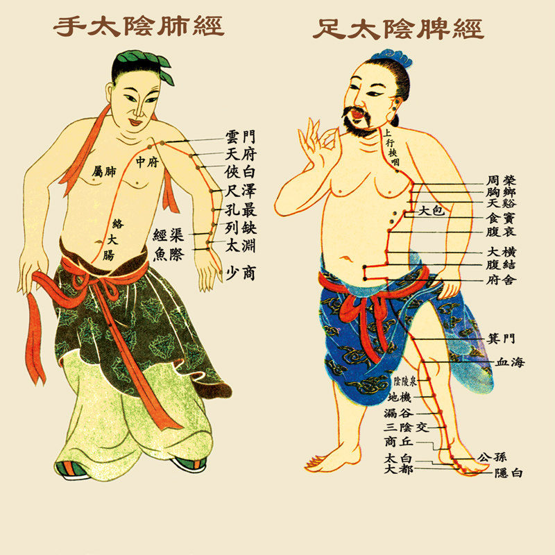 卷十十二医四经络图挂画养生穴位任督二脉中轴画诊所药店装饰壁画