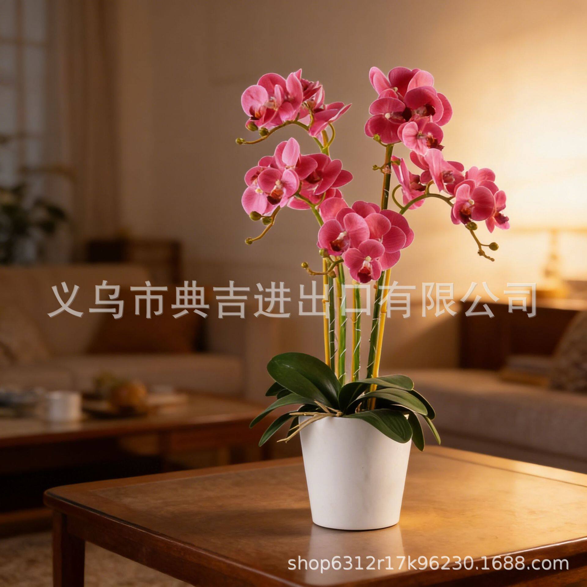 仿真蝴蝶兰黑色陶瓷感花盆