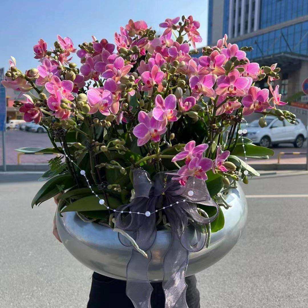 40cm口径电镀盆铁艺蝴蝶兰花盆花器金属银柳盆器仿真花新中式摆件