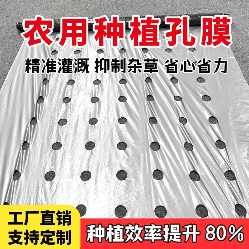 开孔打孔银黑地膜农用种植大棚塑料薄膜加厚草莓羊肚菌药材带孔膜
