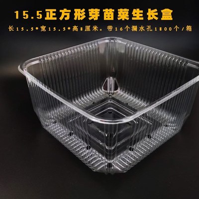 正方形芽菜盒15.515.58芽菜种植盒带漏水孔豆苗盒豆芽种植