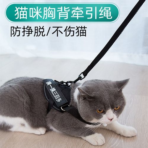 牵引绳猫咪泰迪柯基狗狗中小型犬可调节溜猫背心式链子宠物用品