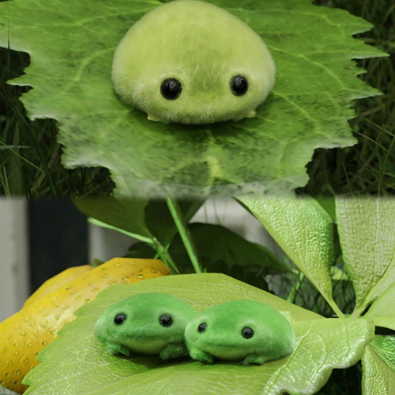 你们好像对我发现的毛蛙蛙很感兴趣 家庭可爱仿真可爱蛙玩具毛绒,家居饰品,户外/庭院摆件,淘宝优惠券,粉丝福利购,淘宝优惠卷