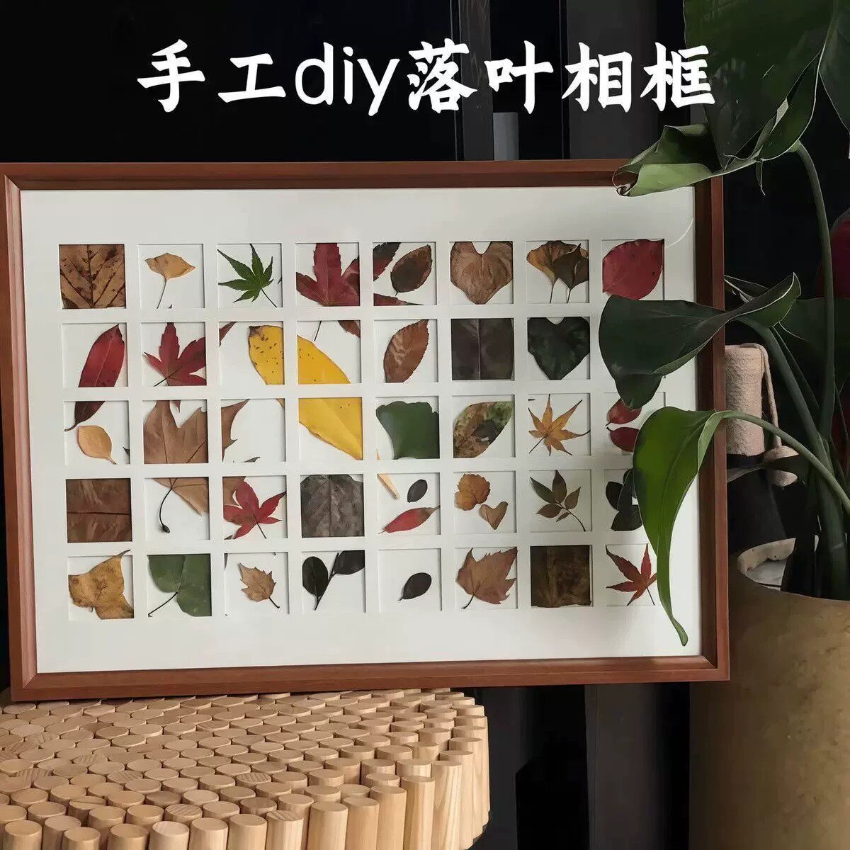 秋天落叶标本24宫格相框摆件
