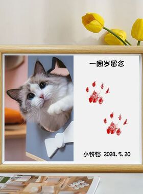 宠物生日纪念相框免洗印爪定制