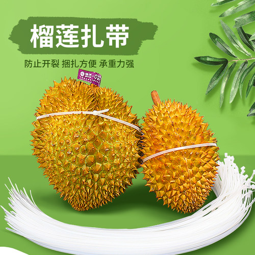 丁峰自锁式榴莲绑带榴莲开口强力固定形状捆绑扎带自带卡扣款