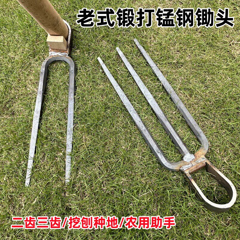 农用锻打挖地挖硬土老牌子两用挖土开荒种菜开垦种地锻打两齿锄头 - 实物图