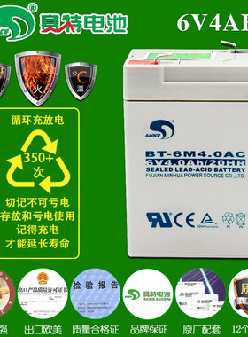 赛特BT-6M4.0AC蓄电池电子秤计价秤台秤吊钩秤6V4AH电池6伏4A电瓶