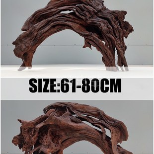 二马61-80cm精品鱼缸造景沉木树森林 沉木大号大型 免煮 拱桥形