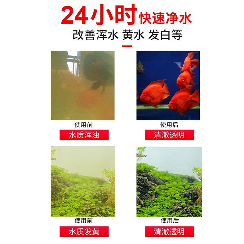 海豚硝化细菌鱼缸用净水剂消化菌活菌水族养鱼用品净化水质稳定剂