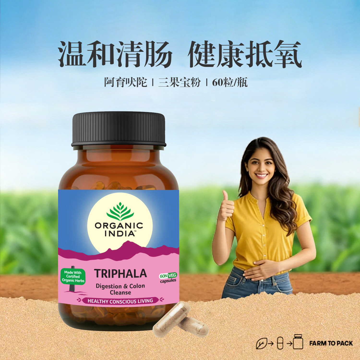 印度原包装进口triphala三果粉胶囊余甘子肠胃调理 60粒/瓶