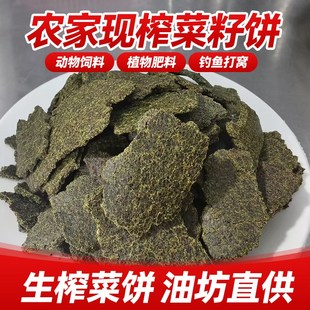菜籽生饼农家菜枯油菜籽饼青饼有机肥营养土肥料钓鱼生油枯