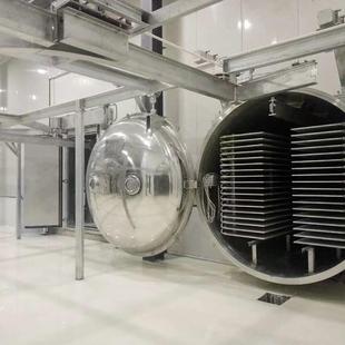 真空冻干机设备超低温冻干机罐头冻干机竹笋冻干机家用冻干设备