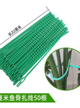 22CM多用途鱼骨绿色园林扎带绑扎带园艺鱼骨扎线【各种数量包装】