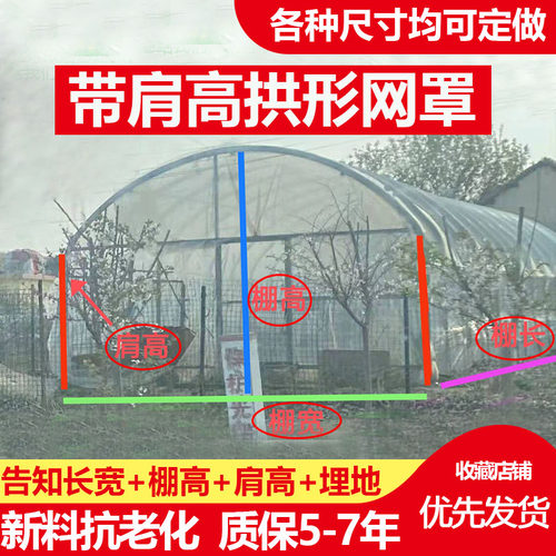 蚂蚱拱形网罩蝗虫带肩高拱形网罩胡蜂方形网罩拱形罩蚂蚱网罩纱网