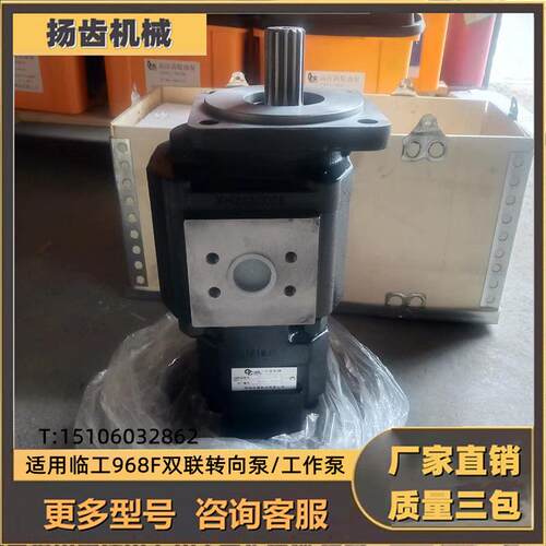装载机铲车配件 临工LG968F液压齿轮泵 双联转向泵 工作泵 液压泵