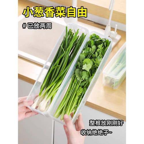 小葱香菜保鲜盒食品级密封水果盒冰箱专用姜蒜面条收纳整理储物盒