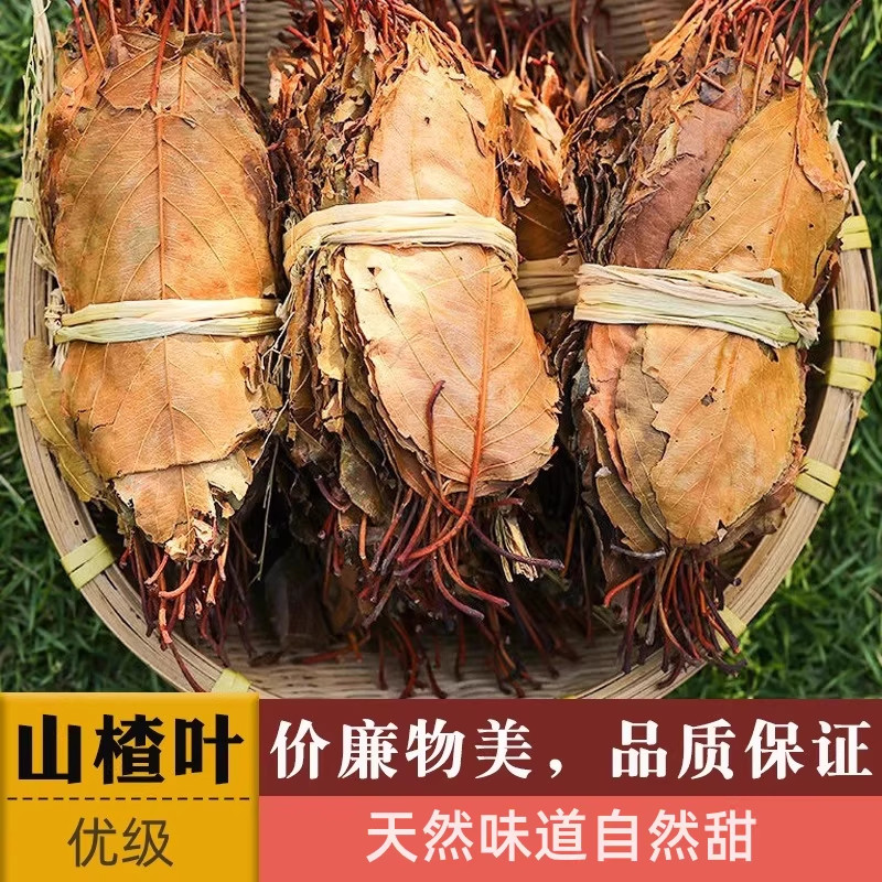 山楂叶广西新鲜干货山楂树叶茶纯天然山楂茶叶官方旗舰店泡茶泡水