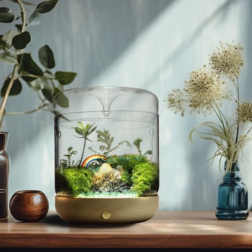 丘辰青苔藓微景观生态瓶办公室内绿植桌面小盆栽摆件DIY花卉植物